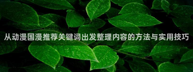 哔哩哔哩动画