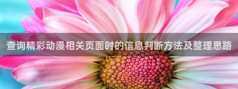 动画推荐