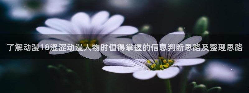 jojo的奇妙冒险动漫
