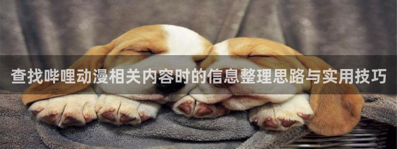 奇幻动漫：查找哔哩动漫相关内容时的信息整理思路与实用技巧