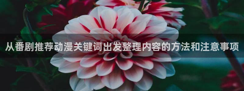 儿童动画推荐