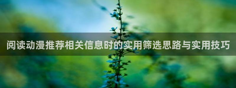悬疑动画:阅读动漫推荐相关信息时的实用筛选思路与实用技巧