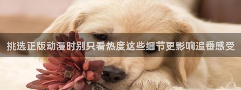 动漫overflow:挑选正版动漫时别只看热度这些细节更影响追番感受