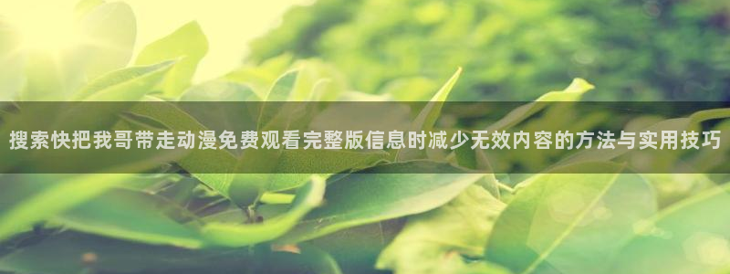 动漫之家官方正版入口：搜索快把我哥带走动漫免费观看完整版信息时减少无效内容的方法与实用技巧