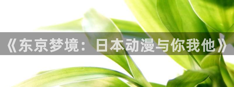 动漫推荐.：《东京梦境：日本动漫与你我他》