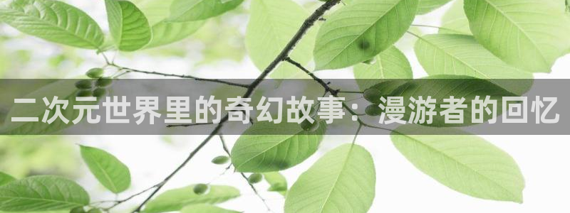动漫共和国官网:二次元世界里的奇幻故事:漫游者的回忆