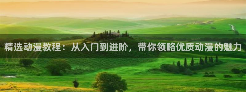 51动漫：精选动漫教程：从入门到进阶，带你领略优质动漫的魅力